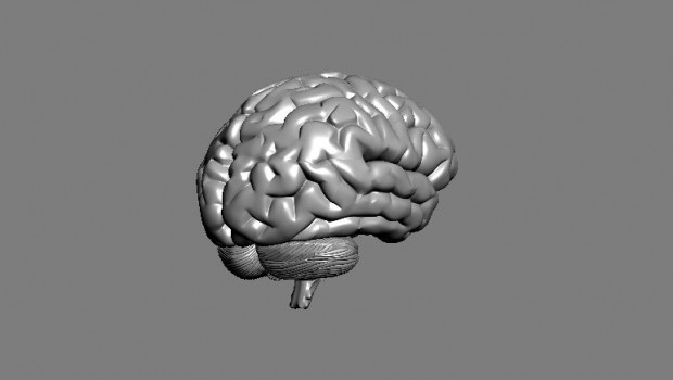 brain model free